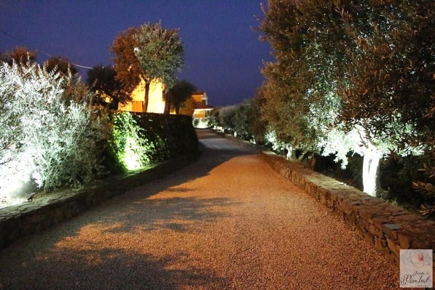 Quinta Do Pombal Douro Villa *
