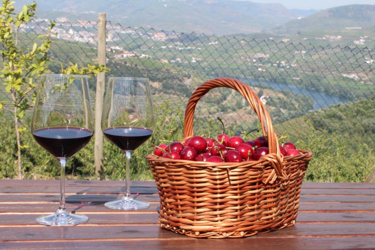 Quinta Do Pombal Douro Penajoia