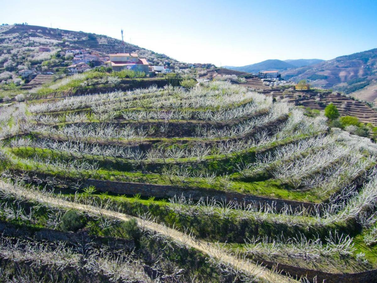 Villa Quinta Do Pombal Douro Penajoia