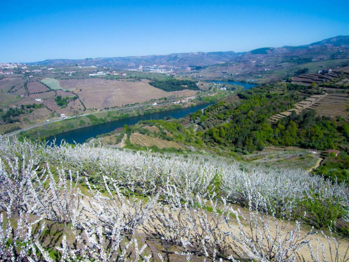 Villa Quinta Do Pombal Douro