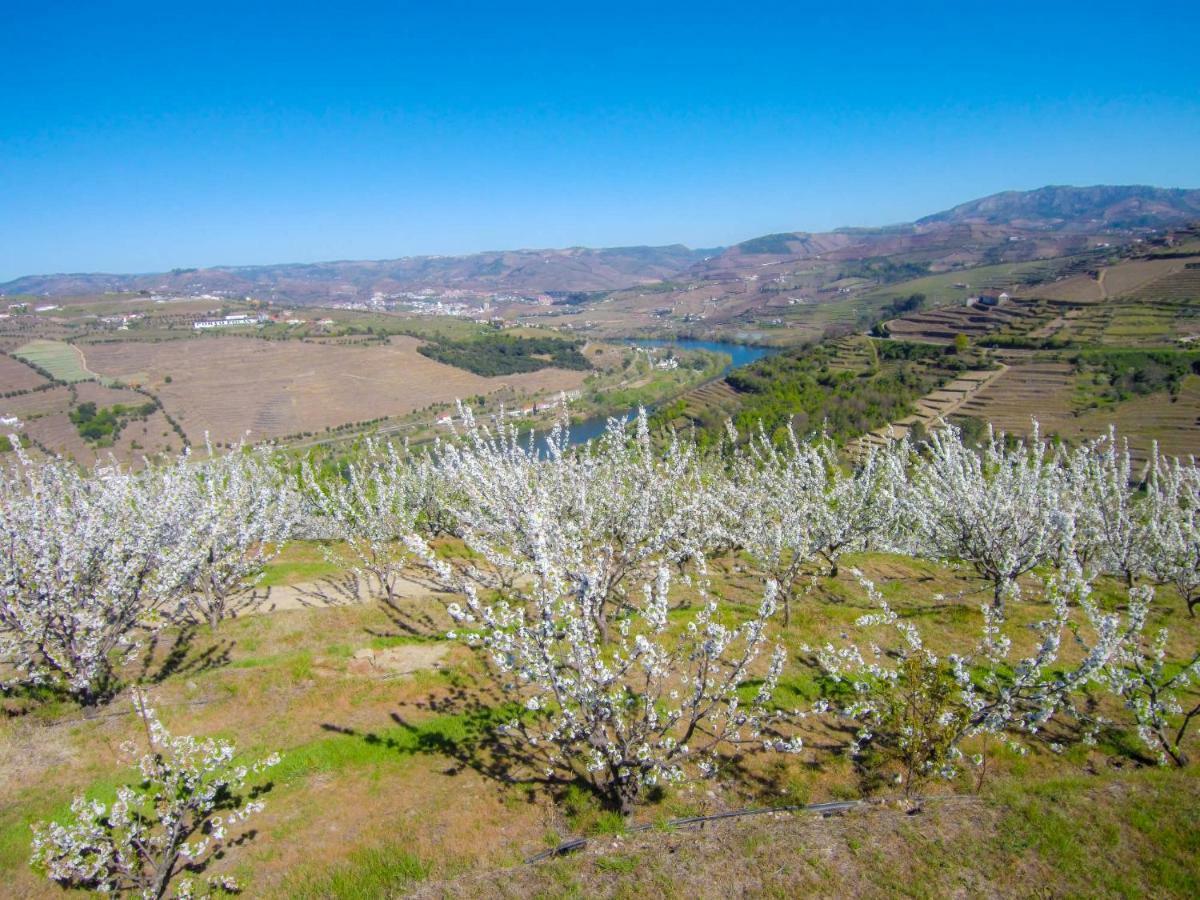 Quinta Do Pombal Douro Villa Penajoia