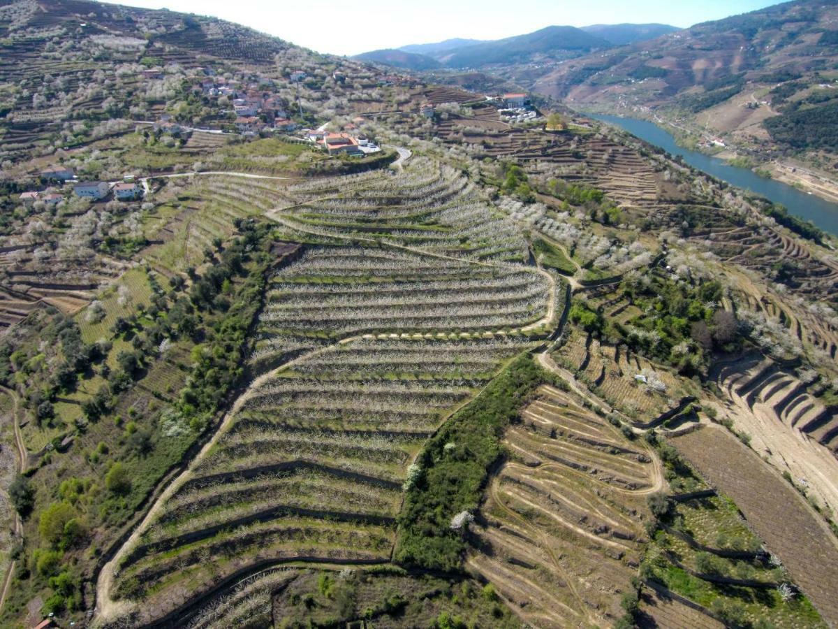 Quinta Do Pombal Douro Villa *