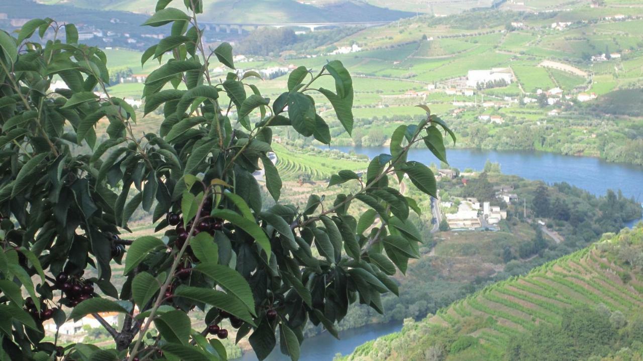 Quinta Do Pombal Douro * Penajoia